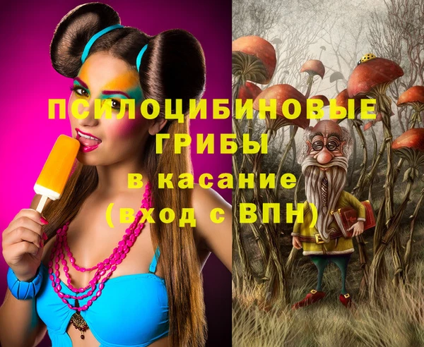 мяу мяу мука Баксан