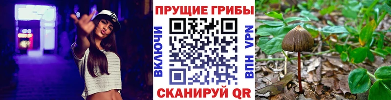 Псилоцибиновые грибы Magic Shrooms  Белоозёрский 